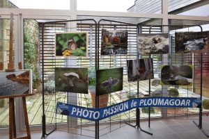 expo_photo_passion_2